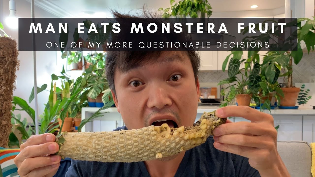 How Do You Eat Monstera Fruit