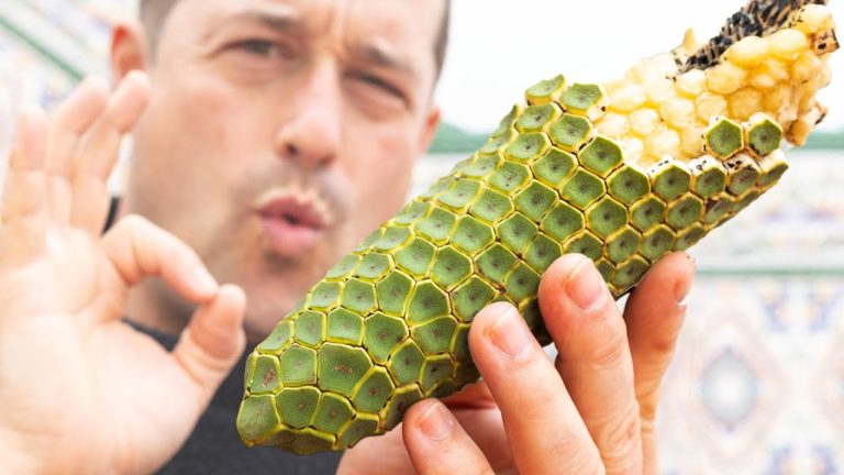 Is It Safe to Eat Monstera Fruit