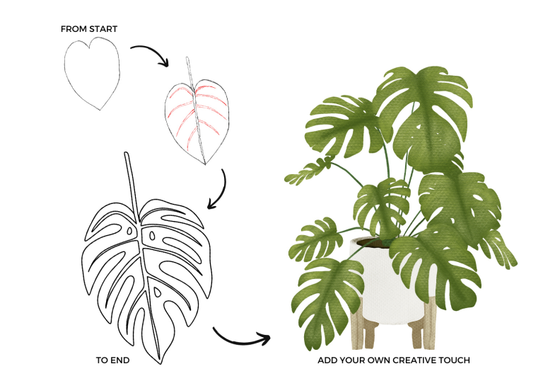 Monstera Drawing Step by Step