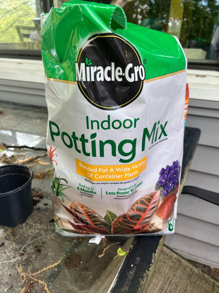 What is Monstera Good for