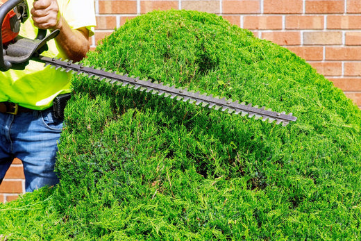 How Often Should You Sharpen Hedge Trimmer Blades