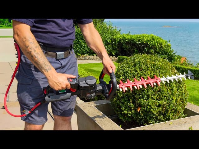 How to Use Hedge Trimmer for the First Time