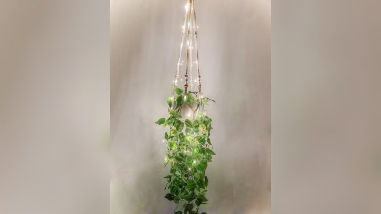 Hanging Plant Indoor Decor