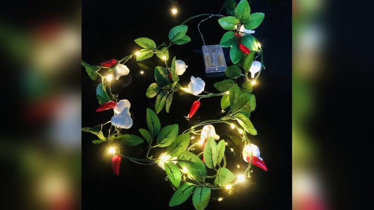 Indoor Chili Plant Decor