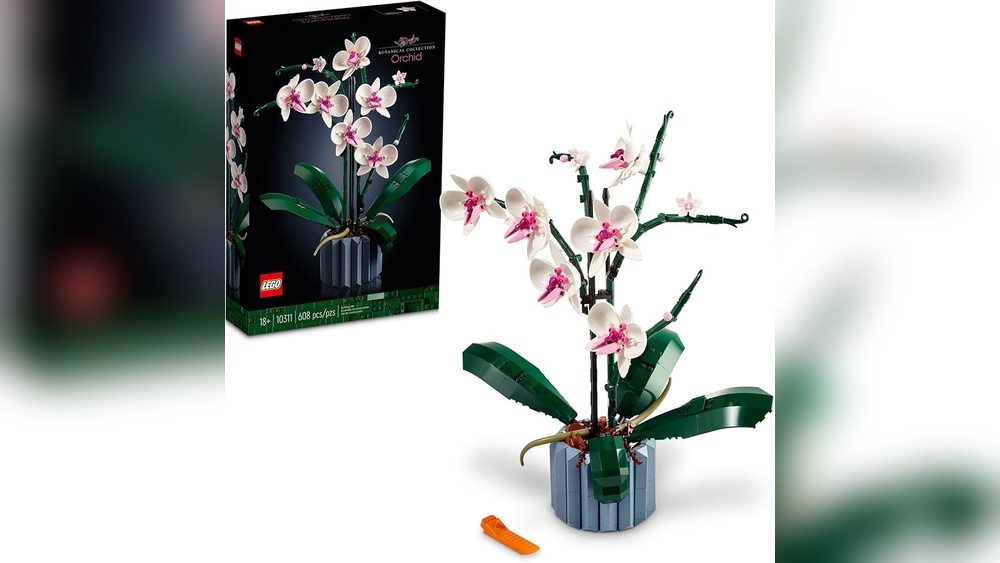 Indoor Flowering Plant Decor