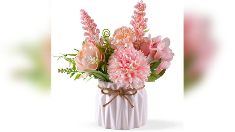 Indoor Pink Plant Decor