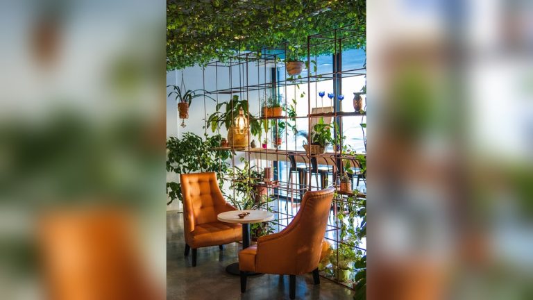 Indoor Plant Decor Cafe