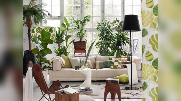 Indoor Plant-Filled Room Decor