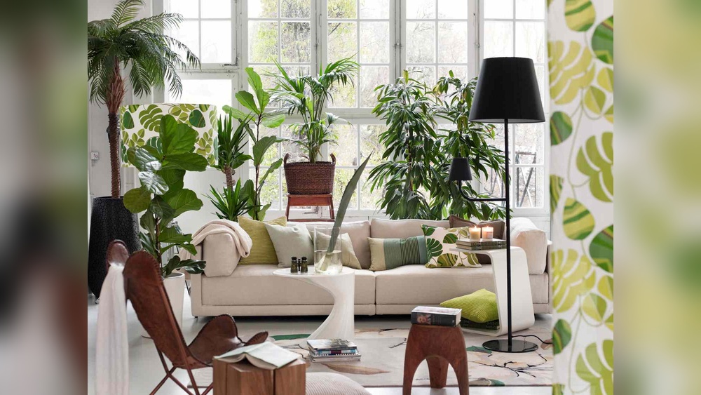 Indoor Plant-Filled Room Decor