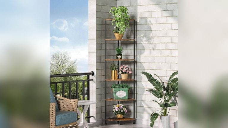 Indoor Plant on Shelf With Decor