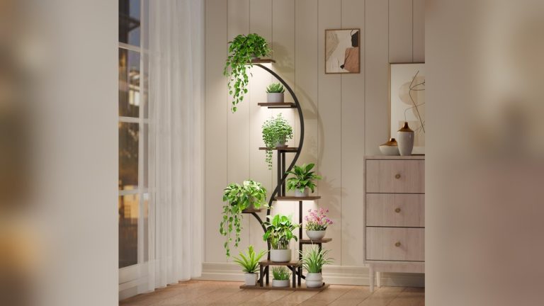 Indoor Plant Shelf Decor