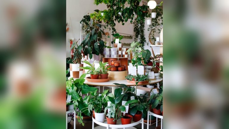 Indoor Plant Shop Decor