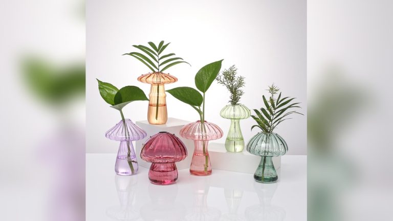 Indoor Plant Vase Decor