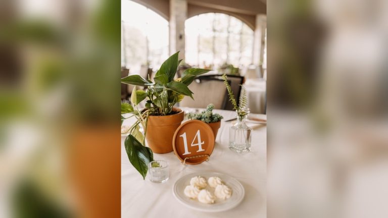 Indoor Plant Wedding Decor