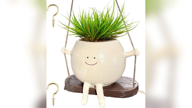 Indoor Planter Air Plant Decor