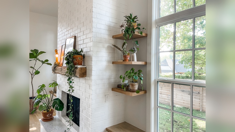 Modern Indoor Plant Shelf Decor