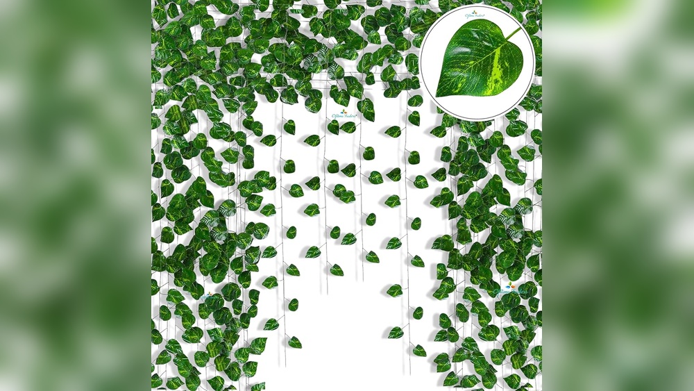 Money Plant Decor Indian Indoor