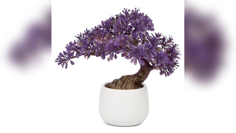 Purple Indoor Plant Decor