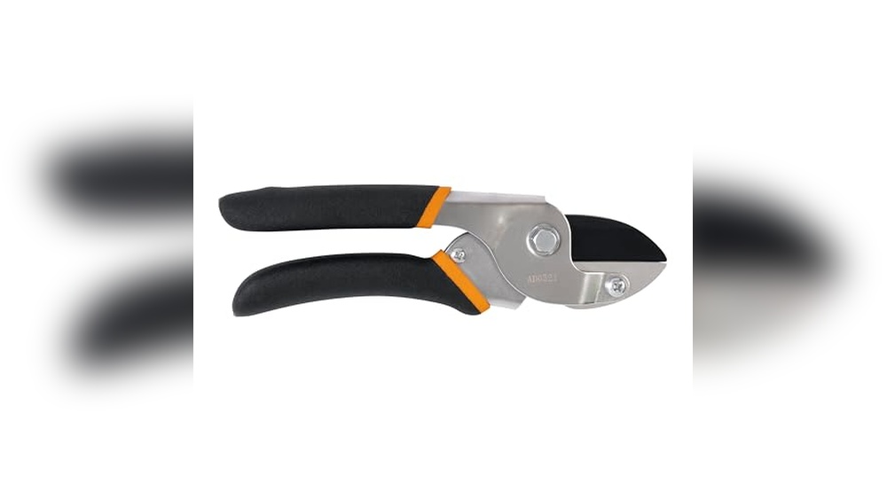 Best Anvil Pruners