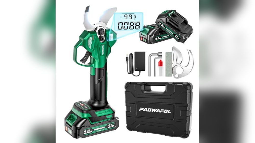 Best Cordless Pruning Shears