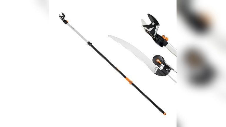Best Extendable Tree Pruner