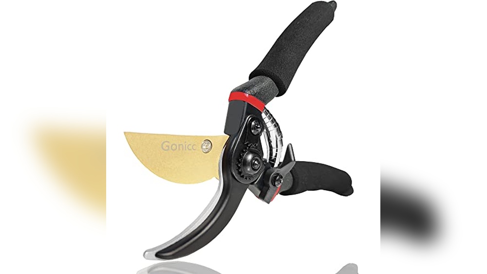 Best Hand Garden Pruners