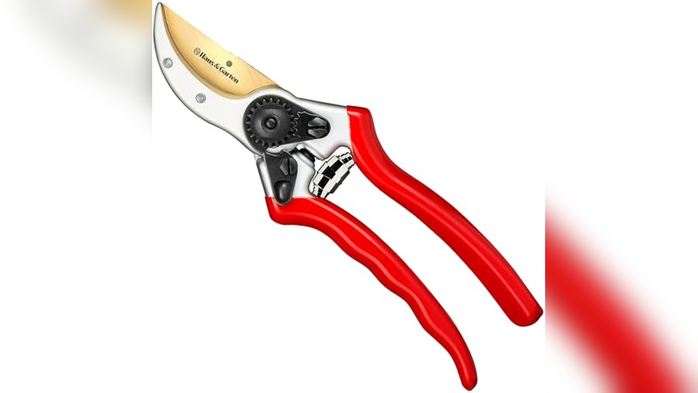 Best Hand Held Pruners