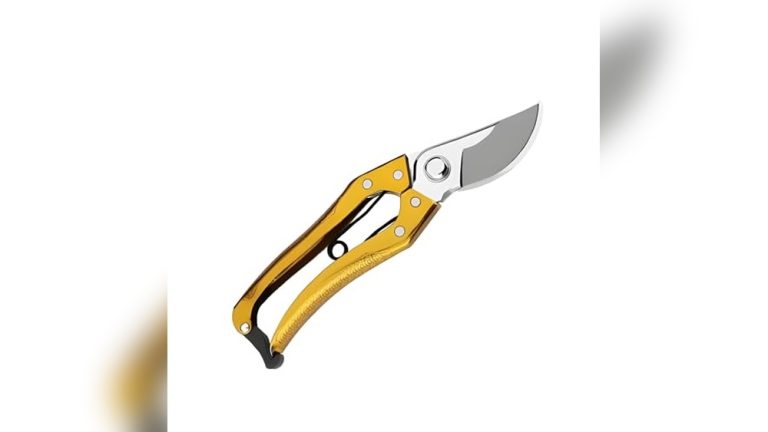 Best Handheld Pruner
