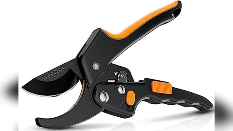 Best Ratcheting Pruners