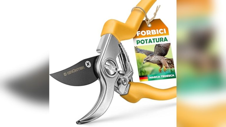 Best Small Pruning Shears
