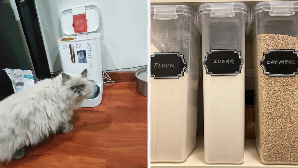 20 Genius Plant Hacks That Will Make Your Neighbors Green With Envy