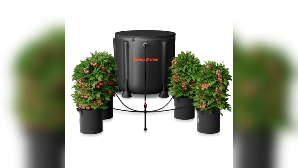 Best Automatic Watering System For Grow Tent