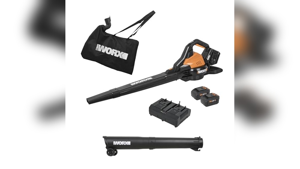 Best Cordless Leaf Blower Vacuum With Battery And Charger