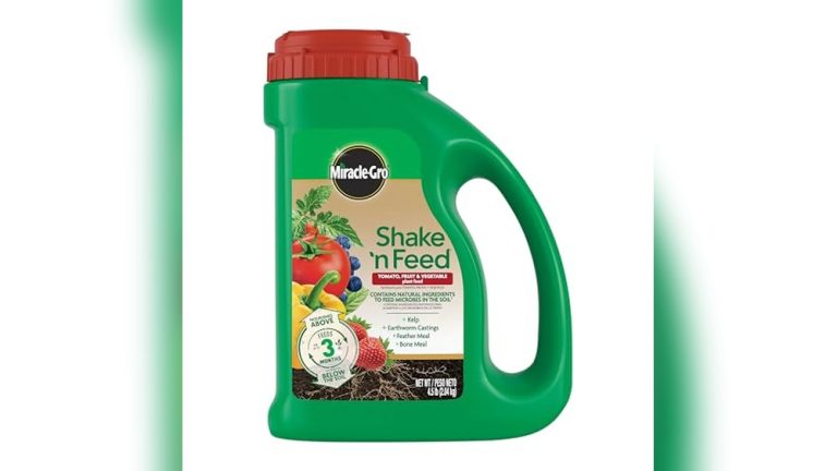 Best Fertilizer For Raised Bed Vegetable Garden