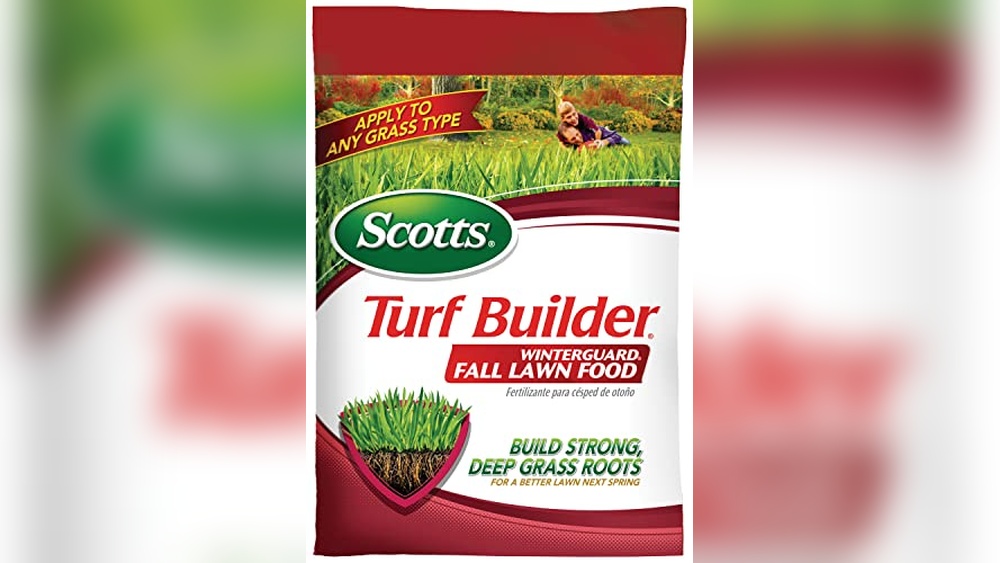 Best Fertilizer For Tall Fescue In Fall