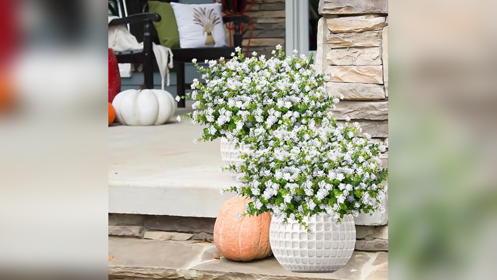 Best Flowers For Window Boxes In Full Sun