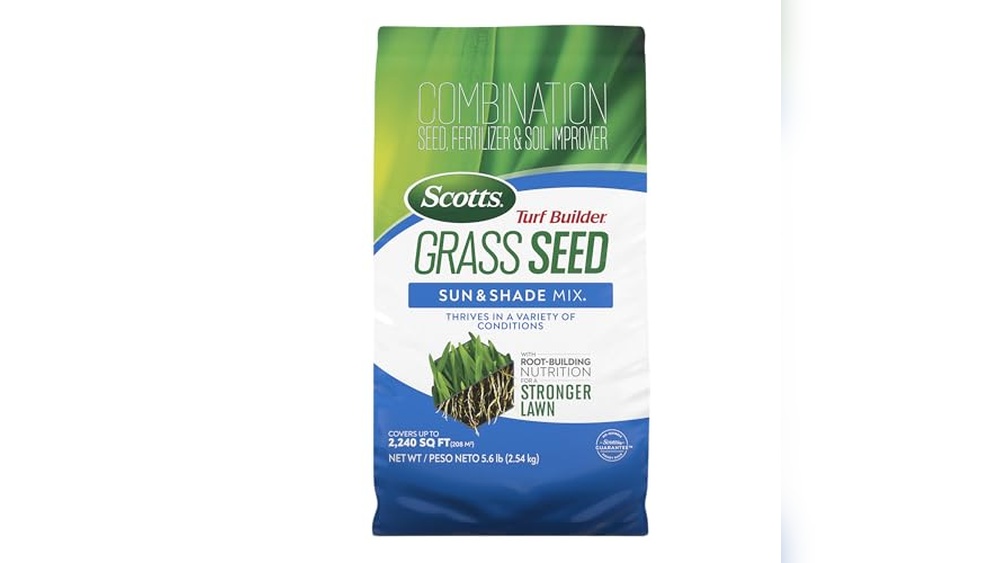 Best Grass Seed For Clay Soil And Full Sun