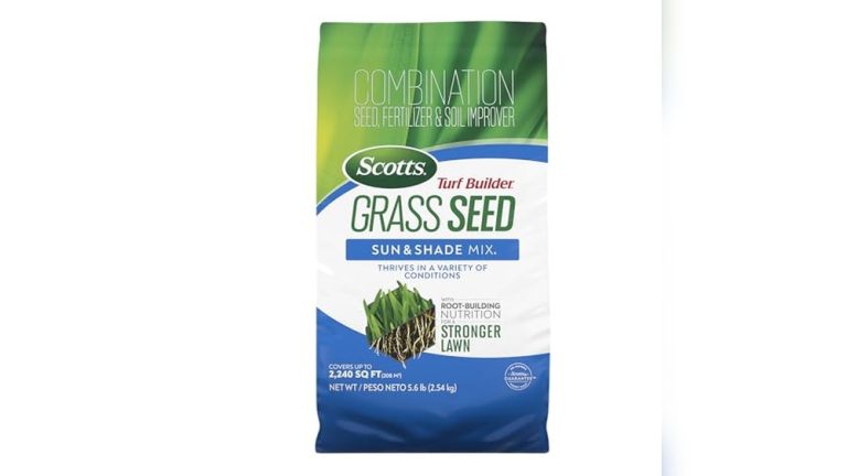 Best Grass Seed For Shade And Poor Soil