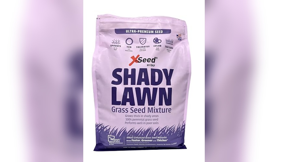 Best Grass Seed For Wet Shady Areas