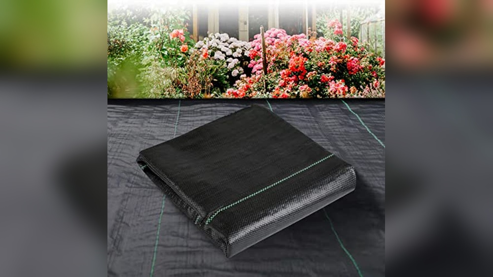 Best Ground Cover For Raised Garden Beds