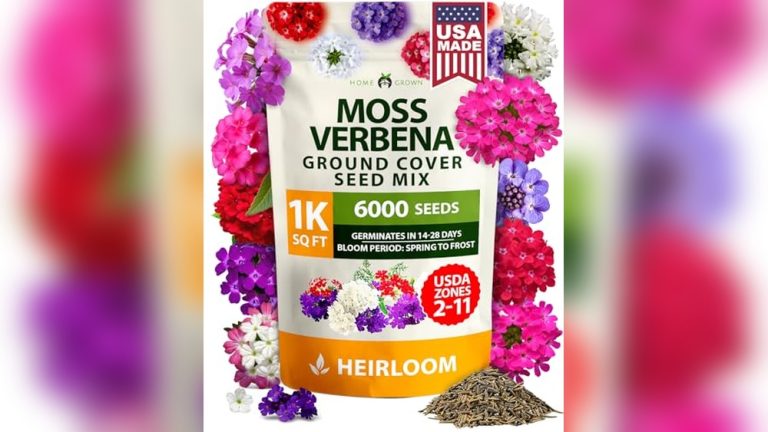 Best Ground Cover For Slopes Full Sun