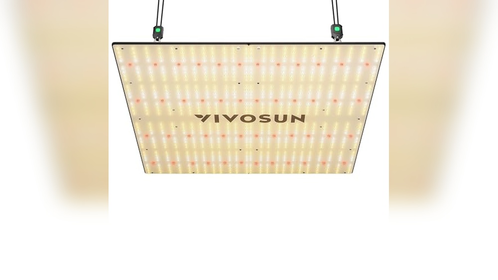 Best Grow Light For A 4X4 Tent