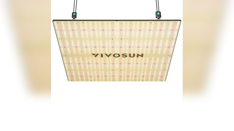 Best Grow Light For A 5X5 Tent