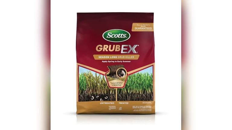 Best Grub And Insect Killer For Lawns