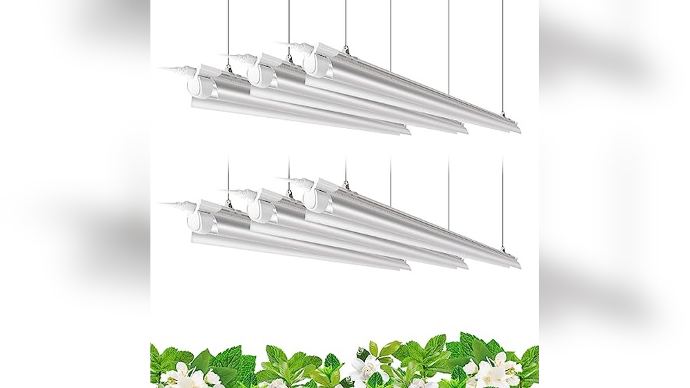 Best Led Grow Lights For Starting Seeds