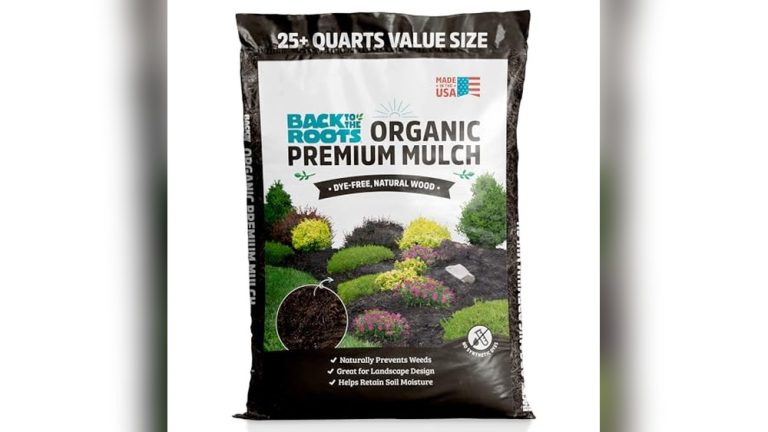 Best Mulch For Raised Bed Vegetable Garden