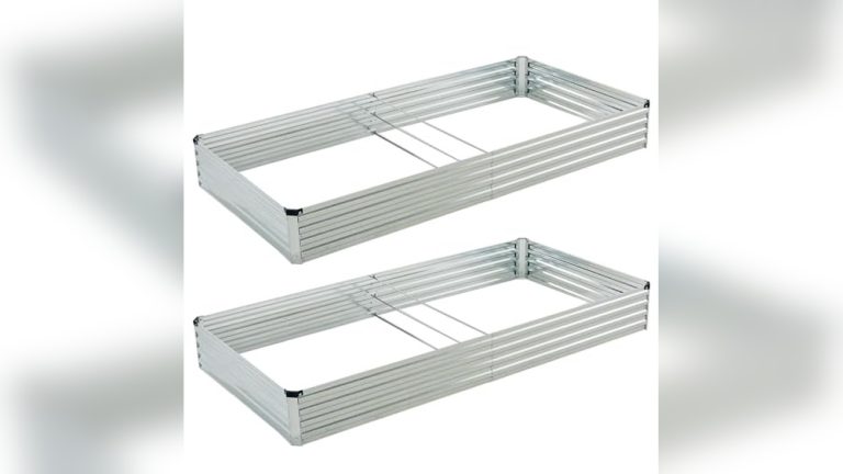 Best Plants For A Raised Garden Bed