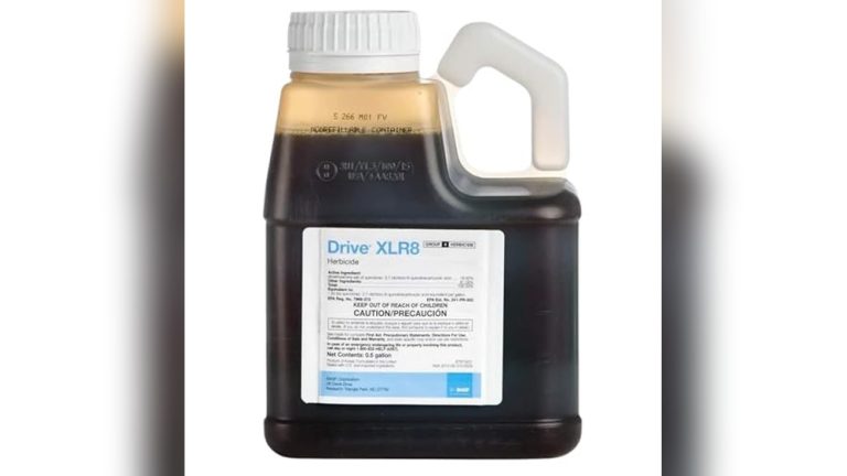 Best Post Emergent Weed Killer For Bermuda Grass