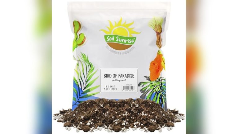 Best Potting Soil For Bird Of Paradise
