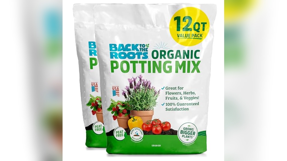 Best Potting Soil For Fruits And Vegetables